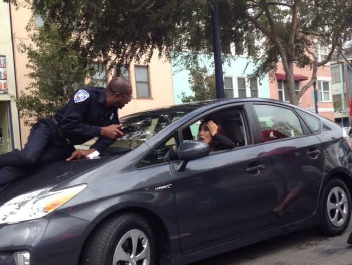 TROLLGODS SLEEP IS FOR PUSSIES Pic DUMP