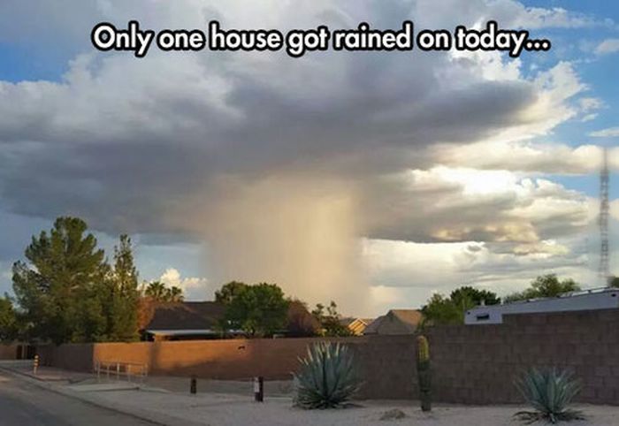 TROLLGODS SLEEP IS FOR PUSSIES Pic DUMP