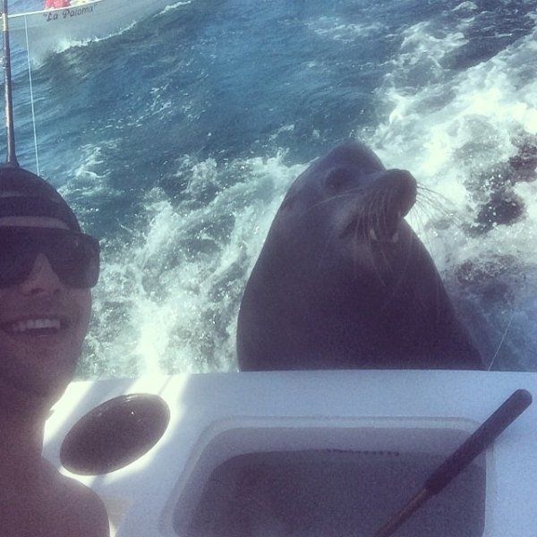 TROLLGODS SLEEP IS FOR PUSSIES Pic DUMP