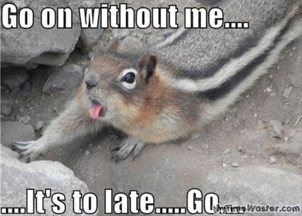 go on without me meme - Go on without me.... ...It's to late.....Gorman winta Waster.com