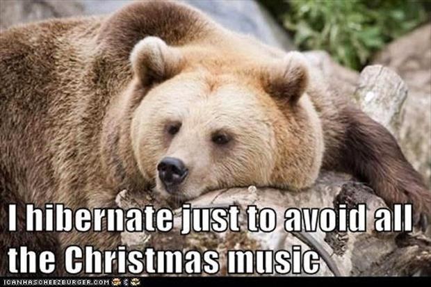 christmas funny animals - Thibernate just to avoid all the Christmas music Tcanhascheezburger.Com S