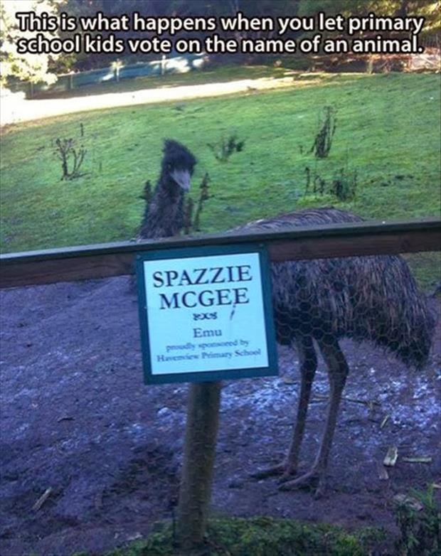 animal name meme - This is what happens when you let primary. school kids vote on the name of an animal. Spazzie Mcgee Emu H i mary School