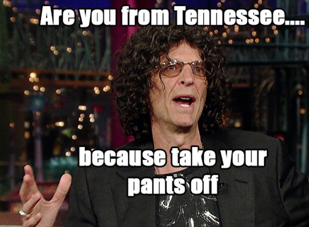 really bad pickup lines - Are you from Tennessee.... because take your pants off