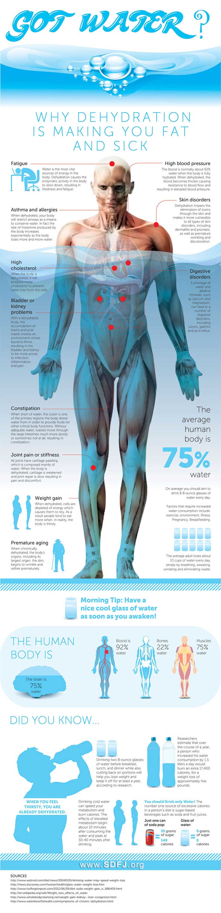 Different ways water helps keep the body in good working order.