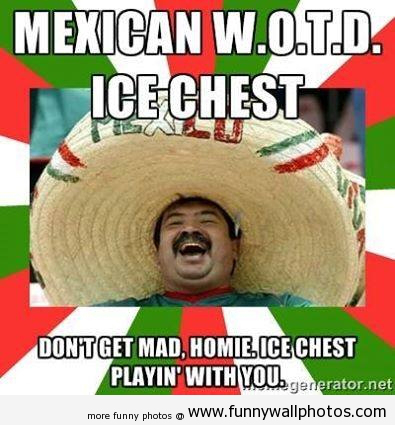 Mexican WOTD Ice Chest - meme
