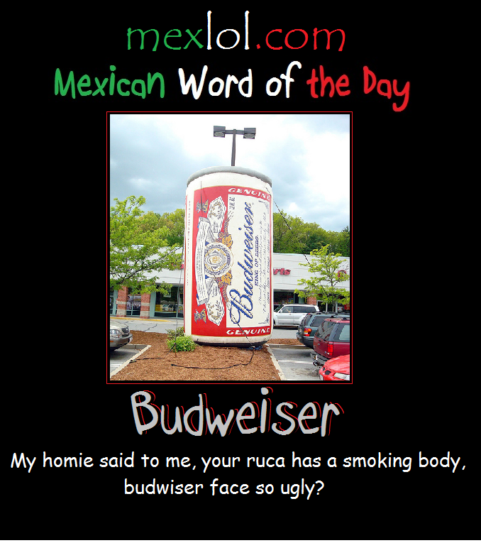 Funny meme about Mexican word of the day - budweiser