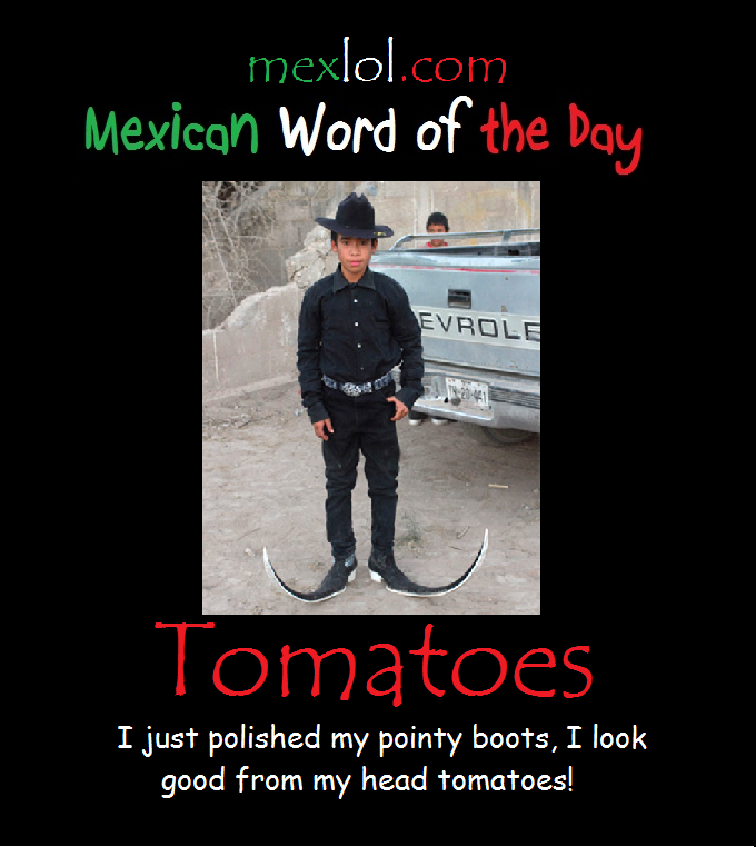 Funny meme of Mexican WOTD - Tomatoes