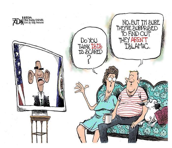 Mash up of Obama cartoons and stuff