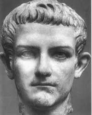 Caligula was Romes 3rd emperor from AD 37 to AD 41.  He was wild, extravagant, with a penchant for sexual adventures.  In the first 3 months in his reign of terror, over 160,000 animals were sacrificed in his honor.  He later got a brain fever that made him mentally ill.  He then believed he was a god.  Under Caligula, the law became an instrument of torture.He caused many to die of starvation.  Sawing people was one of his favorite things to do, which filleted the spine and spinal cord from crotch down to the chest.  He liked to chew up the testicles of victims.