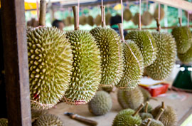 Durian Fruit: The durian fruit is quite possibly the smelliest snack in the world. Don't try to sneak one onto the subway! The durian is so odorous that it is illegal to carry a raw one on public transportation or through airports in much of Southeast Asia -- it's literally a forbidden fruit in many places. The fruit's smell has been described as similar to that of sewage, body odor or rotten garbage.