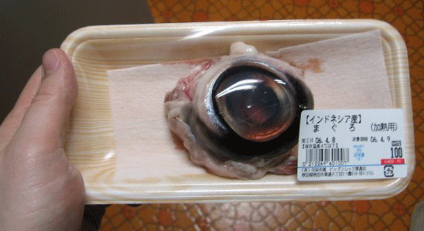 Tuna Eye: Fairly cheap, these can be found in most Japanese grocery stores for about 1 USD. It tastes something like squid and should be boiled prior to consumption. Once again, dont forget to season.