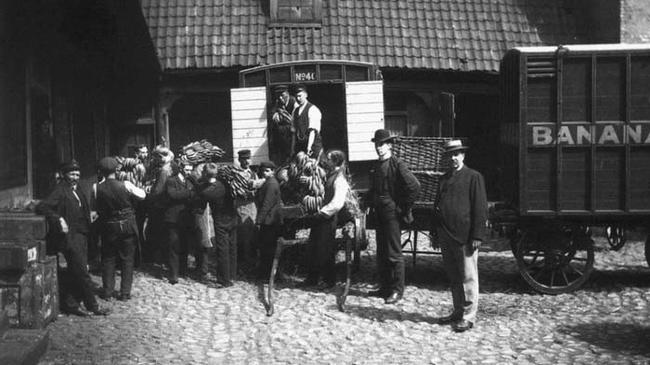 1905 - Norway's first ever shipment of bananas.