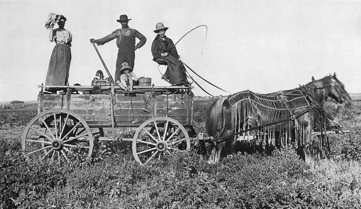 A Kansas Water Wagon in The Year of 1900