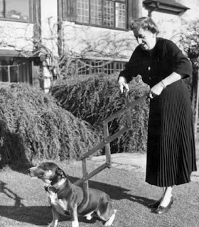 Dog Restrainer, 1940