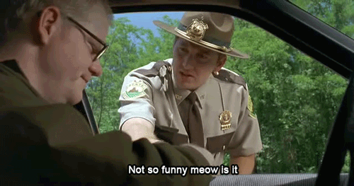 super troopers gif - Not so funny meow is it