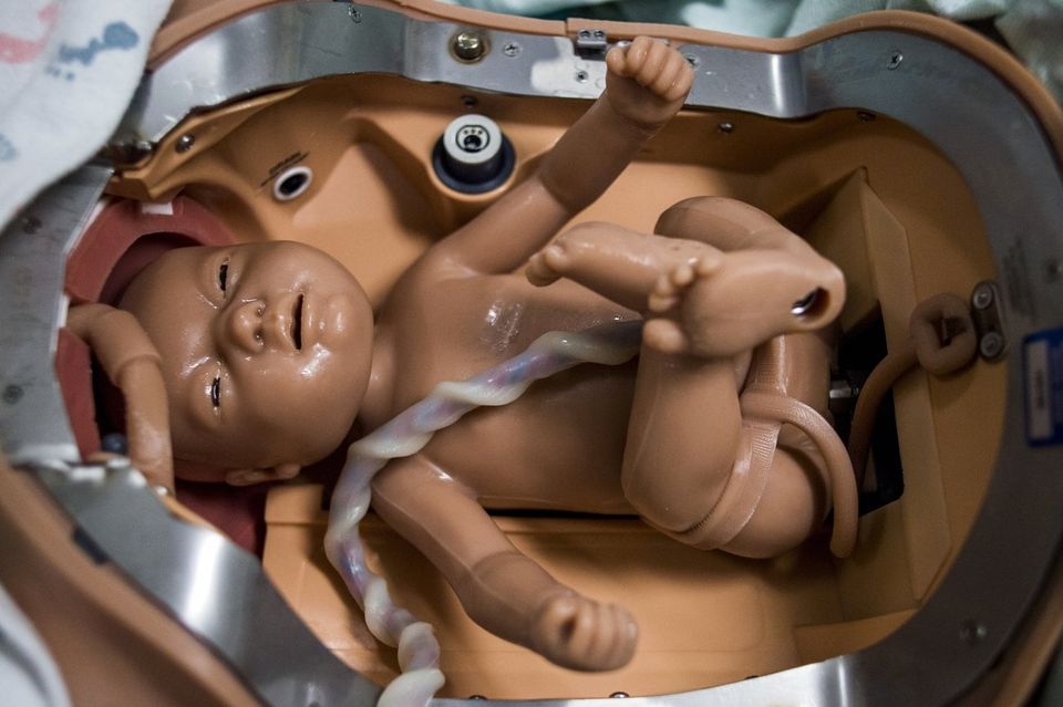 Robotic Simulator Named Victoria Gives Birth