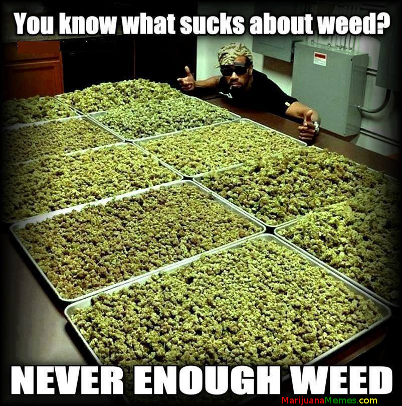 Nevere enough weed!