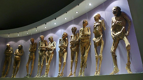 mummies in mexico city