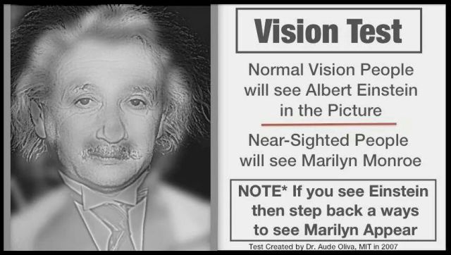 Einstein Vision Test