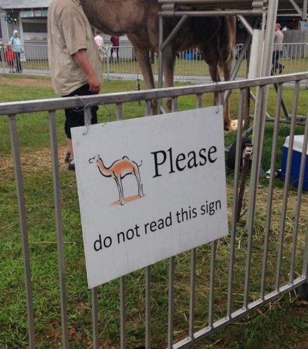 grass - Please do not read this sign