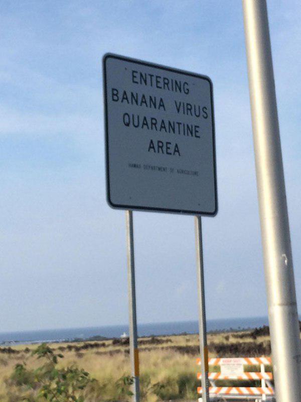 slow down funny signs - Entering Banana Virus Quarantine Area