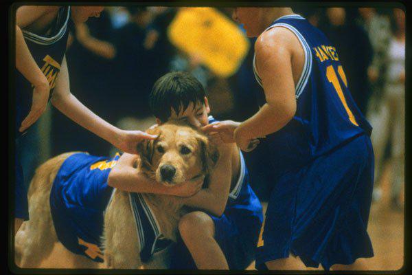 Air Bud  Air BudEven if the rules of basketball could be completely rewritten to allow for a dog to play in the NBA, youd probably want to stay away from drafting him. Because hes a fucking dog.