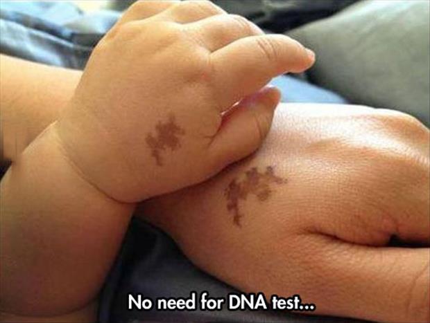 No need for Dna test...