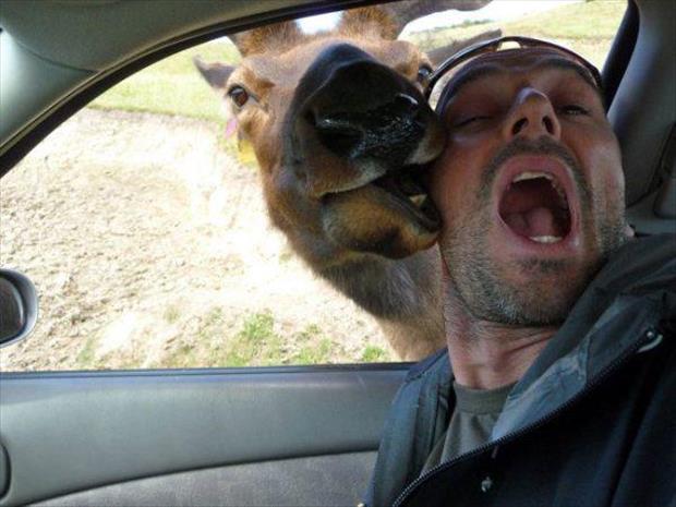 15 People Taking Selfies To The Next Level