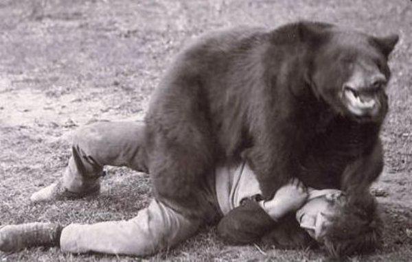 Alabama – It’s illegal to wrestle a bear.