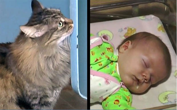 Cat Saves Babys Life