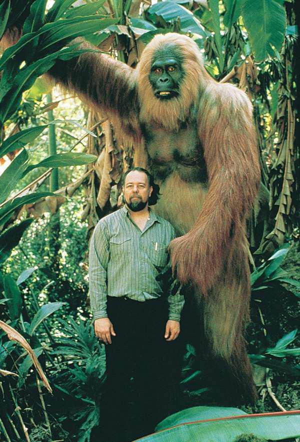 Gigantopithecus existed as recently as 100 thousand years ago and was the largest ape to have ever lived. It was 10 ft tall and weighed nearly 1,200 lbs. Its closest living relative is the orangutan which is considerably smaller. All Gigantopithecus remains have been found in Asia which rules out the possibility that it is Big Foot.