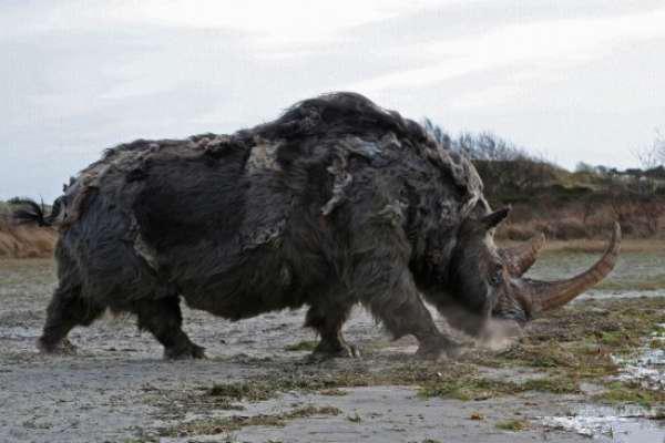 Giant Extinct Prehistoric Relatives of Modern Day Animals - Gallery ...