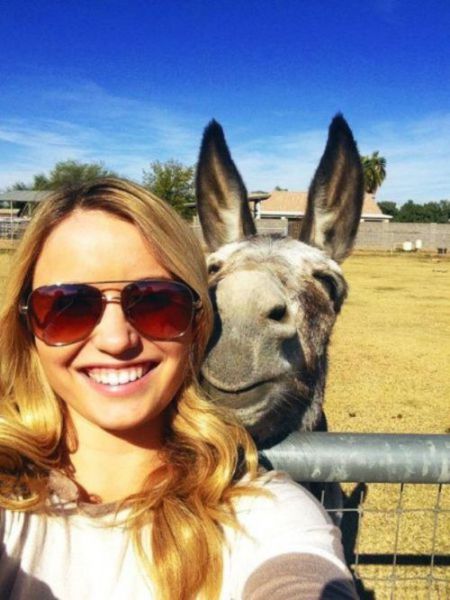 selfie with donkey