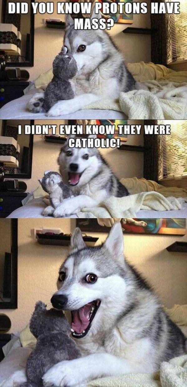 pun bad pun dog meme - Did You Know Protons Have Mass? I Didn'T Even Know They Were Catholici