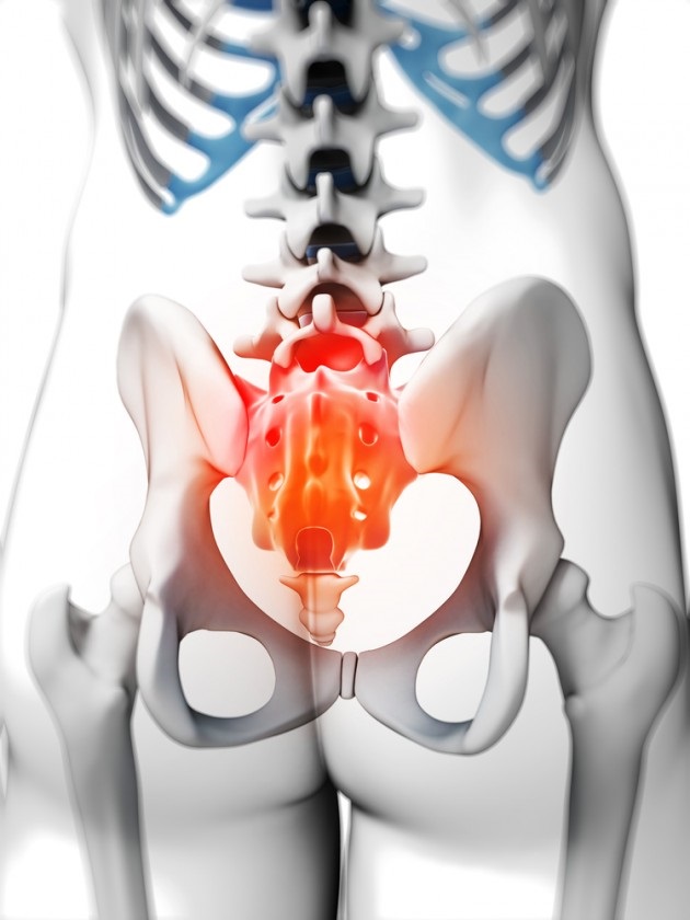 Coccyx: Do we really need this? No. Not at all. If you didn’t know, at the end of your spine is tailbone of vertebrae that in some way shows that we used to have tails, for lack of a better explanation. Also known as the Coccyx, this is an organ that we can do without.