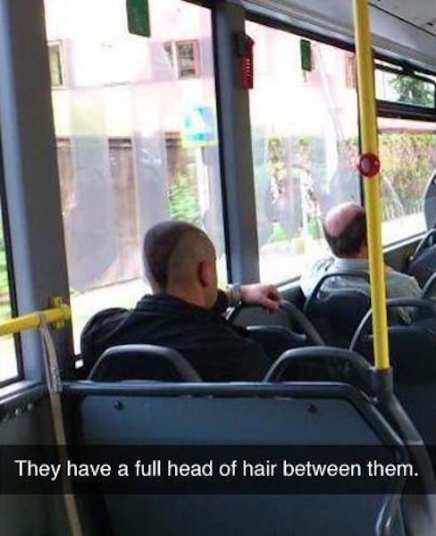 They have a full head of hair between them.