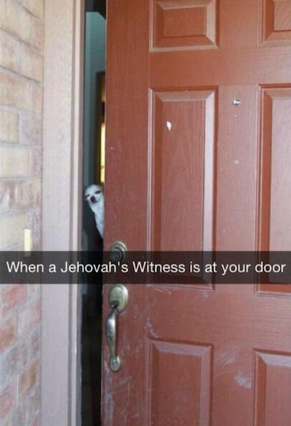 dog answering door meme - When a Jehovah's Witness is at your door