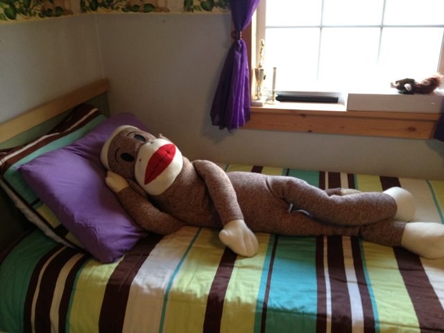 monkey laying on bed