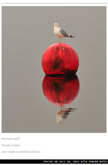 tumblr - he was a skater bird - she was a gull he was a buoy can i make it anymore obvious Posted On With 108688 Notes