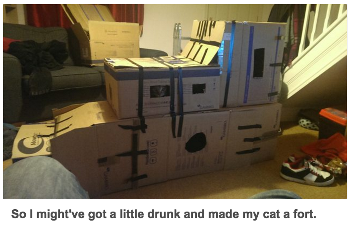 20 Times Sober You Has Wondered What Drunk You Was Thinking