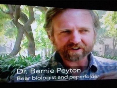 bernie peyton - Dr. Bernie Peyton Bear biologist and paperfolder