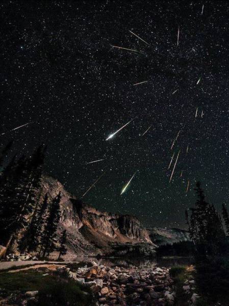 perseid meteor showers