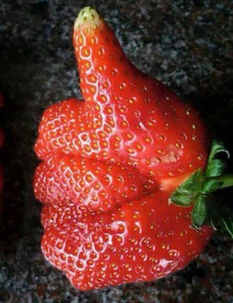 weird strawberry