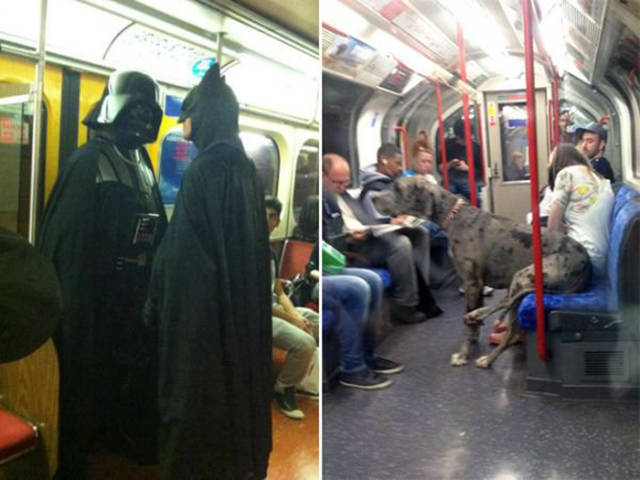 26 Times the ride the METRO became a very strange experience