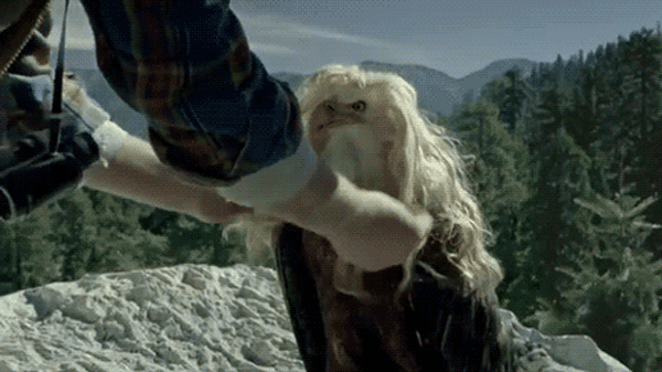 You Deserve A Few GIFS Today (36 Gifs)