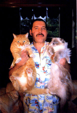 Bonus Freddie Mercury.