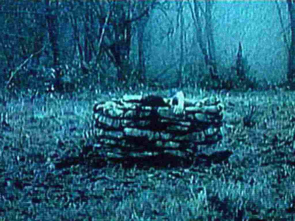 9.  "The Ring" 2002  A strange videotape begins making the rounds in a town in the Pacific Northwest it is full of bizarre and haunting images, and after watching it, many viewers receive a telephone call in which they are warned they will die in seven days.  The Ring was adapted from a 1996 Japanese film by Hideo Nakata.