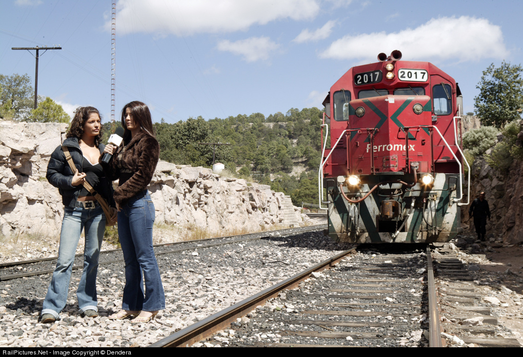 Trains with amazing scenery