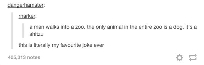 tumblr - best joke ever - dangerhamster rnarker a man walks into a zoo, the only animal in the entire zoo is a dog. It's a shitzu this is literally my favourite joke ever 405,313 notes