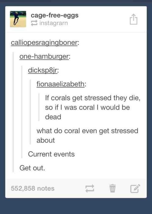 tumblr - web page - cagefreeeggs instagrarn calliopesragingboner onehamburger dicksp8ir fionaaelizabeth If corals get stressed they die, so if I was coral I would be dead what do coral even get stressed about Current events Get out. 552,858 notes